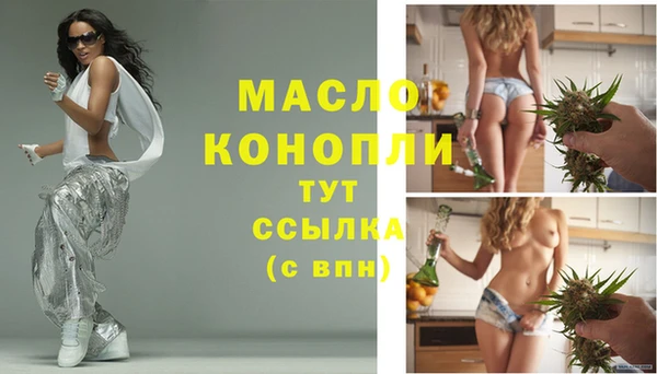 дживик Сатка