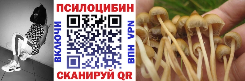 наркота  Кимовск  Галлюциногенные грибы прущие грибы 