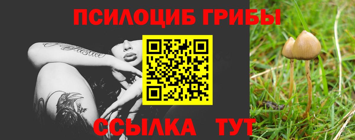 Псилоцибиновые грибы мицелий  Псилоцибиновые грибы мухоморы  Вход с VPN  Кимовск 