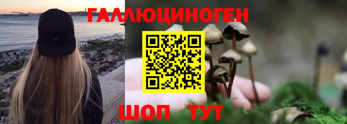 Псилоцибиновые грибы GOLDEN TEACHER Кимовск