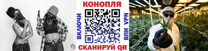 Бошки Шишки THC 21%  где купить наркоту  Кимовск 