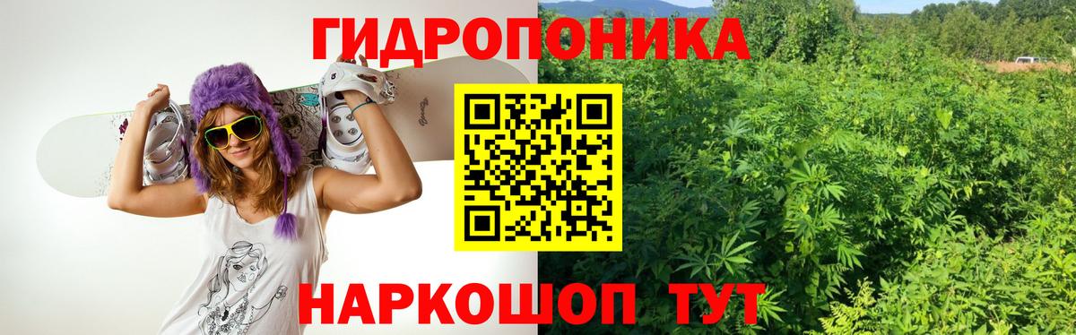 Каннабис MAZAR  Вход с VPN  Кимовск  Шишки марихуана OG Kush  Канабис конопля 